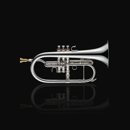 [ APHRODITE/アフロディーテ ] Flugelhorn in Bb